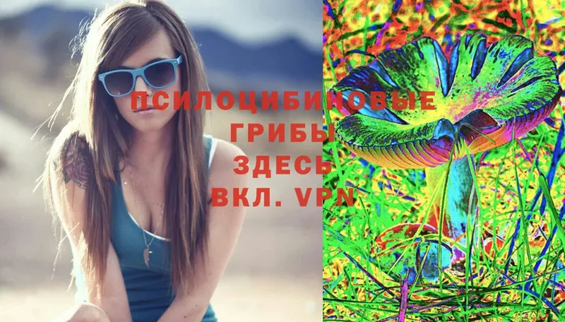 Галлюциногенные грибы Magic Shrooms  Ефремов 